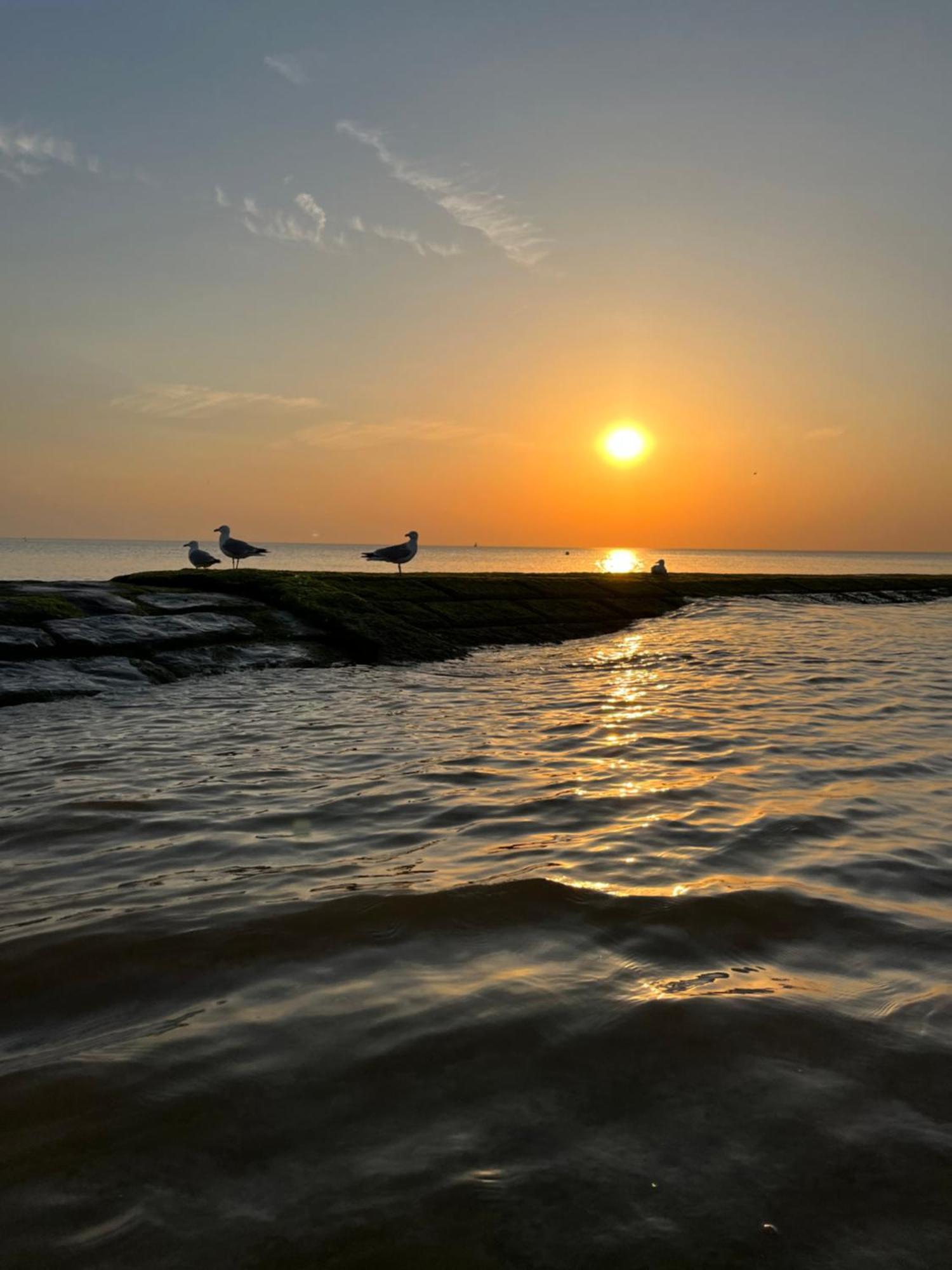 فيلا Beach Bungalow Green ميدل كيرك المظهر الخارجي الصورة