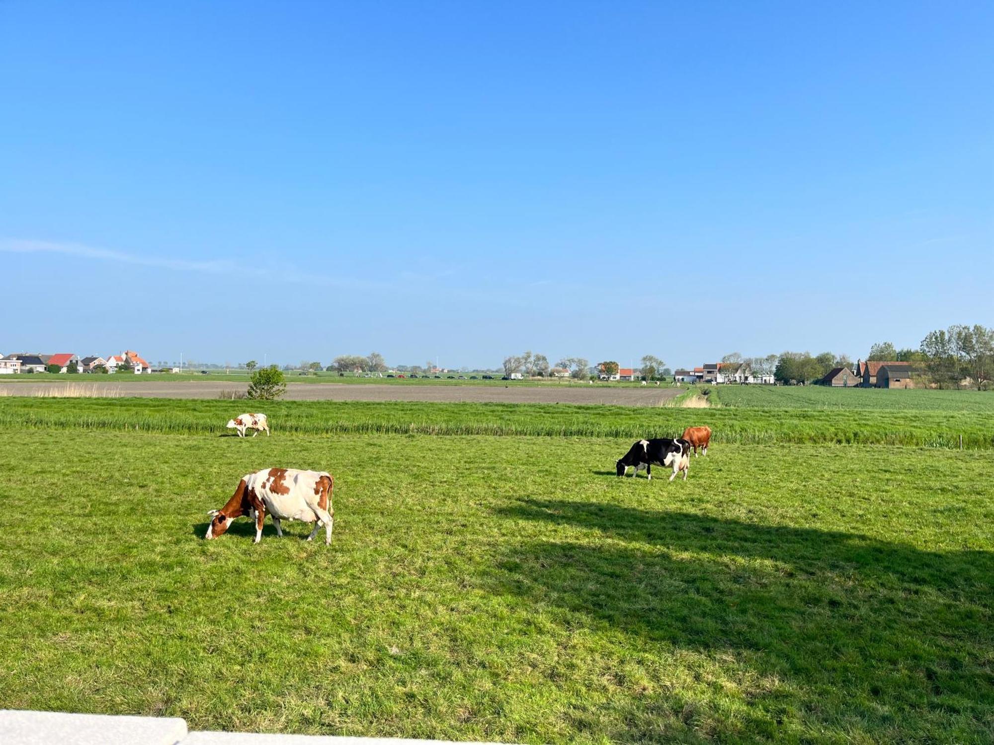 فيلا Beach Bungalow Green ميدل كيرك المظهر الخارجي الصورة